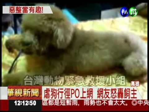 拿香水噴狗! 人肉搜索揪虐狗人