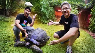 Download lagu LIHAT SEMUA HEWAN PELIHARAAN IRFAN HAKIM!! KOLEKSI RATUSAN SATWA!! mp3 Download lagu LIHAT SEMUA HEWAN PELIHARAAN IRFAN HAKIM!! KOLEKSI RATUSAN SATWA!! mp3