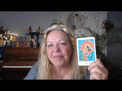 Your Daily Focus for August 19, 2019 through Tarot, Numerology and Astrology