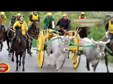 3 maggio 2017 la gara