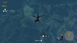 【ゼルダの伝説】ティアキンやります！