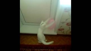 Britney Spears – Clumsy (oops!)