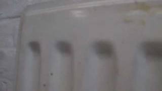 ADRIAN SHERWOOD - Silly Billy Re-mix by Activator (joint Venture System). Dub reggae dub cliché