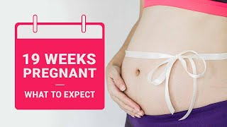 19 Weeks Pregnant - Baby Development, Symptoms, Dos and Don