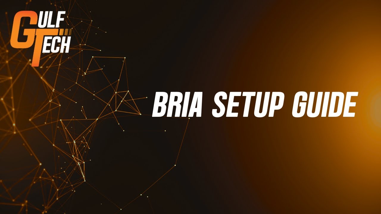 Bria - Setup Guide