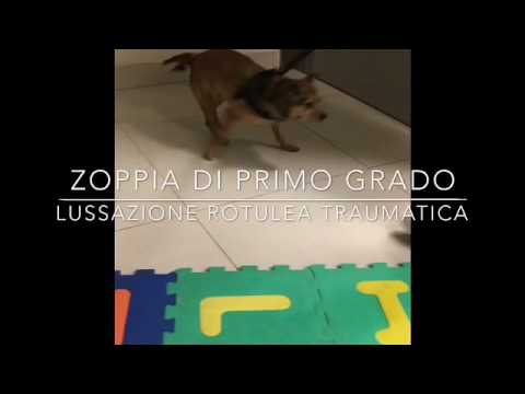 Patologia del rachide cervicale negli adulti Pesantezza luomo mal di schiena e addome inferiore