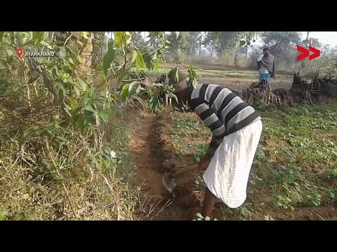 Kisan Credit Card (KCC) loan scheme fails