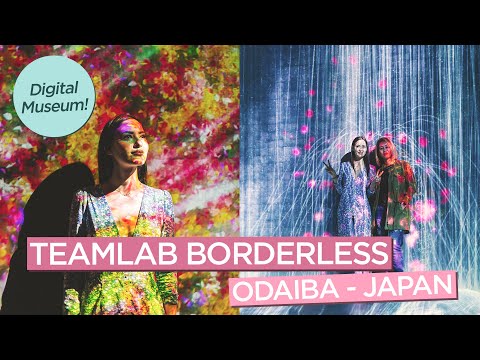 お台場でチームラボと一緒に魅力的なデジタルアートミュージアムを体験 (Experience a Fascinating Digital Art Museum with teamLab in Odaiba, Japan)