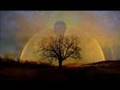 Max Richter - Embers 