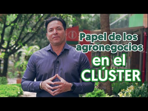 Evaluación del papel de los agronegocios en Medellín