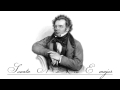 Franz Schubert - Piano Sonata No. 1, D.157 in E major ~ II. Andante [2/3]
