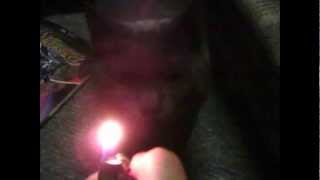 Big Black - Precious Thing