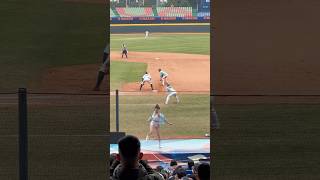 【TeamTaiwan】 #登峰造極 #卉妮 #侯芳 #瑄 #璇璇 #ABY #冬季聯盟@台中洲際棒球場 20241214 #台湾チア #cheerdance  #teamtaiwan #啦啦隊