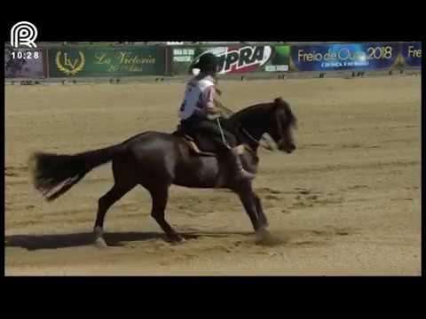 Bocal de Ouro Esteio (RS) – 6° lugar fêmeas – Preciosa do Recanto Crioulo