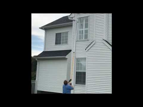 Wasps in Colts Neck, NJ