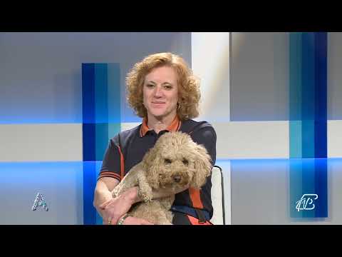 ANGOLI 14/4/2023: PET THERAPY E ADDESTRAMENTO CANI PER DISABILITA'