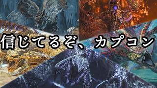 復帰をかけた最後のアプデを見る。初見歴戦王アルシュベルドなど【モンハンワイルズ/MHWs】
