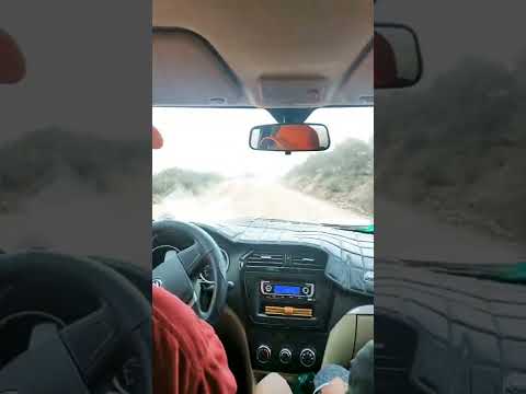 Paseando Ando│Camino a Chuma│La Paz - Bolivia│El Tio Borikua.