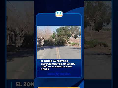 El Zonda ya provoca complicaciones: un árbol cayó en el barrio Felipe Cobas