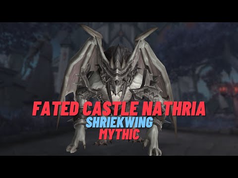 Mythic Fated Shriekwing | NightStalker-Thrall | Protection Paladin