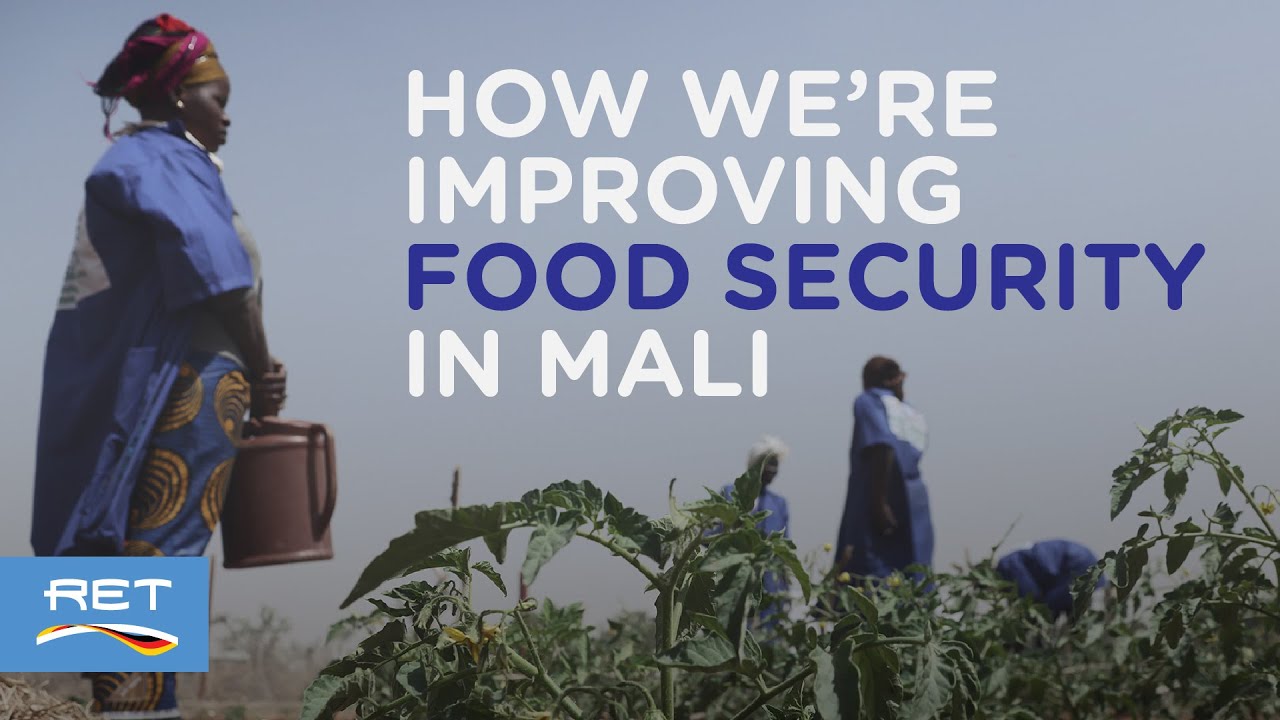 How We're Improving Food Security in Mali