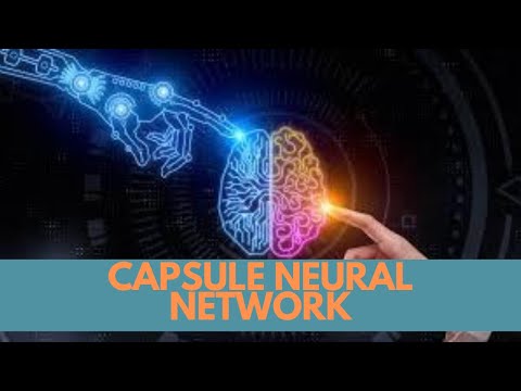 What is Capsule Neural Network(Capsnet) | Meaning, Definition, Explanation | RealizeTheTerms
