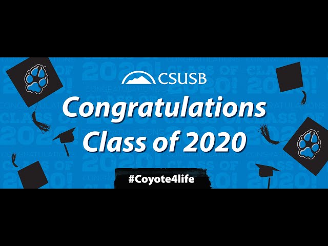 best history programs in csu best history programs in csu