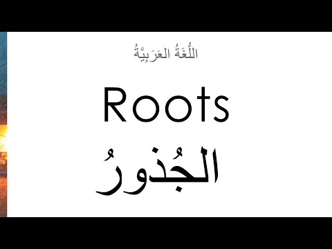 Learn Arabic Grammar | The Arabic Root System - الجُذورُ (Lesson 14)