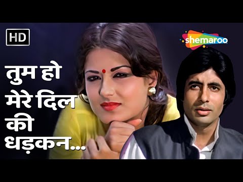 Tum Ho Mere Dil Ki Dhadkan — watch video