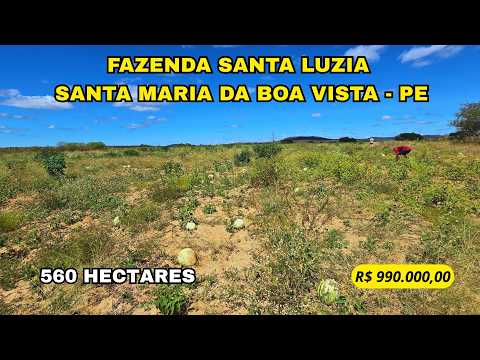 🌾 FAZENDA EM SANTA LUZIA – 560 HECTARES COM GRANDE POTENCIAL AGRÍCOLA 🌾
