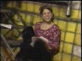 YTV 2001 PJ KATIE