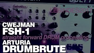 Video thumbnail for ARTURIA DRUMBRUTE through CWEJMAN FSH-1 pitch shifter by LESINDES