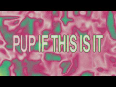 If This Is It - Pup