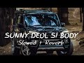 Sunny Deol Si Body Re ( Slowed & Reverb ) Raju Punjabi | Choudhar Jaat Ki Latest Haryanvi Song