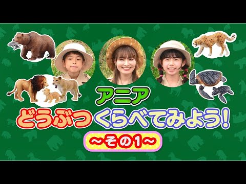 アニア どうぶつくらべてみよう！その1【タカラトミーキッズ】 親子で楽しくあんしん | ファミリー | クイズ | animal | 公式 | タカラトミー公式