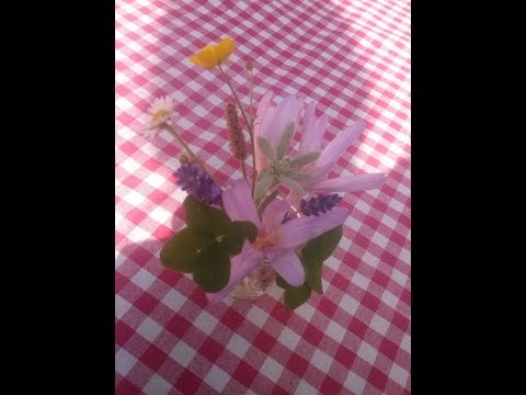 download lagu mp3 mp4 Was Isch Das Fr Es Liechtli, download lagu Was Isch Das Fr Es Liechtli gratis, unduh video klip Was Isch Das Fr Es Liechtli