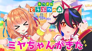 【あつ森】キミノミヤちゃんと島デートしたいゾ【#ミヤメンマ】
