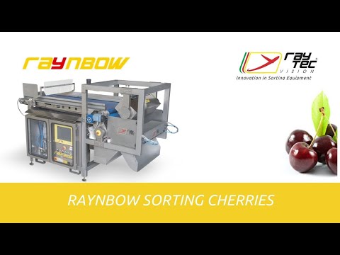 Raynbow optical sorting machine for cherries | RAYTEC VISION SpA