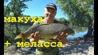 Все для клева на днестре 21 октября