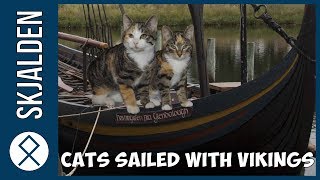 Vikings Sailed With Their Cats Across Europe