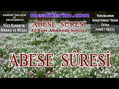 -80- ABESE SURESİ MEALİ -Kuran Meali- MEALİ KERİM