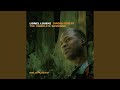 Virgin Forest (solo Version)