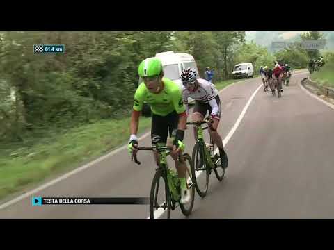 Ciclismo Cup 2017 - GP Bruno Beghelli