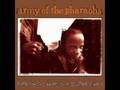 Army of the Pharaohs - young lords 