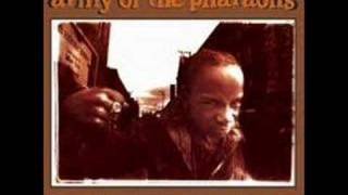 Army of the Pharaohs - young lords