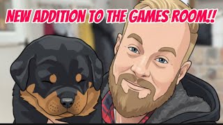 A New Addition to the Gaming Room #videogames #retrogaming #gaming #puppy #gamingchannel 