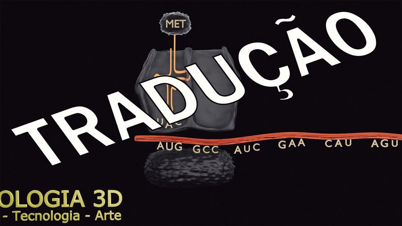 Aula 27 - Tradução - Mecanismo de formação de novas Proteínas