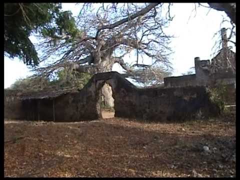 Magical Scenes-TAKWA