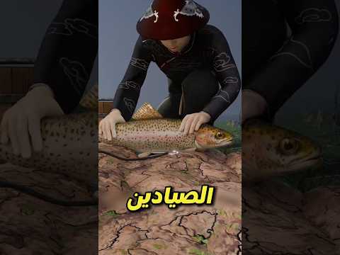 ليه الصيادين زمان كانوا بيثنوا جسم السمكة؟ السر اللي محدش يعرفه!😱🤯#shortvideo