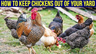 How To Keep Chickens Out Of Your Yard - (5 Easy Ways)